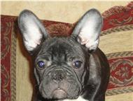 :       VALENS :  ,  9. 10. 2011 . , - . 