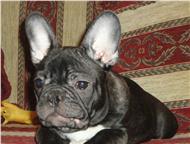 :       VALENS :  ,  9. 10. 2011 . , - . 