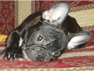 :       VALENS :  ,  9. 10. 2011 . , - . 