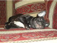 :       VALENS :  ,  9. 10. 2011 . , - . 