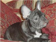 :       VALENS :  ,  9. 10. 2011 . , - . 