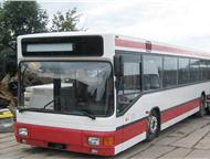 :   Mercedes, Man, Setra, Neoplan        .   ,  