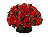  , ,    www. Megaflorist. ru    (  ! ).  ,  - 