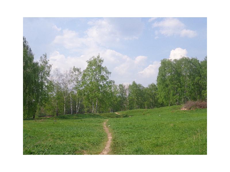 Купить Дом В Соболихе Балашихинского Района Фото